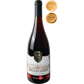 millecento 1024x1024